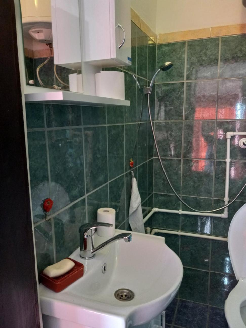Apartman Sani Доні-Мілановац Екстер'єр фото