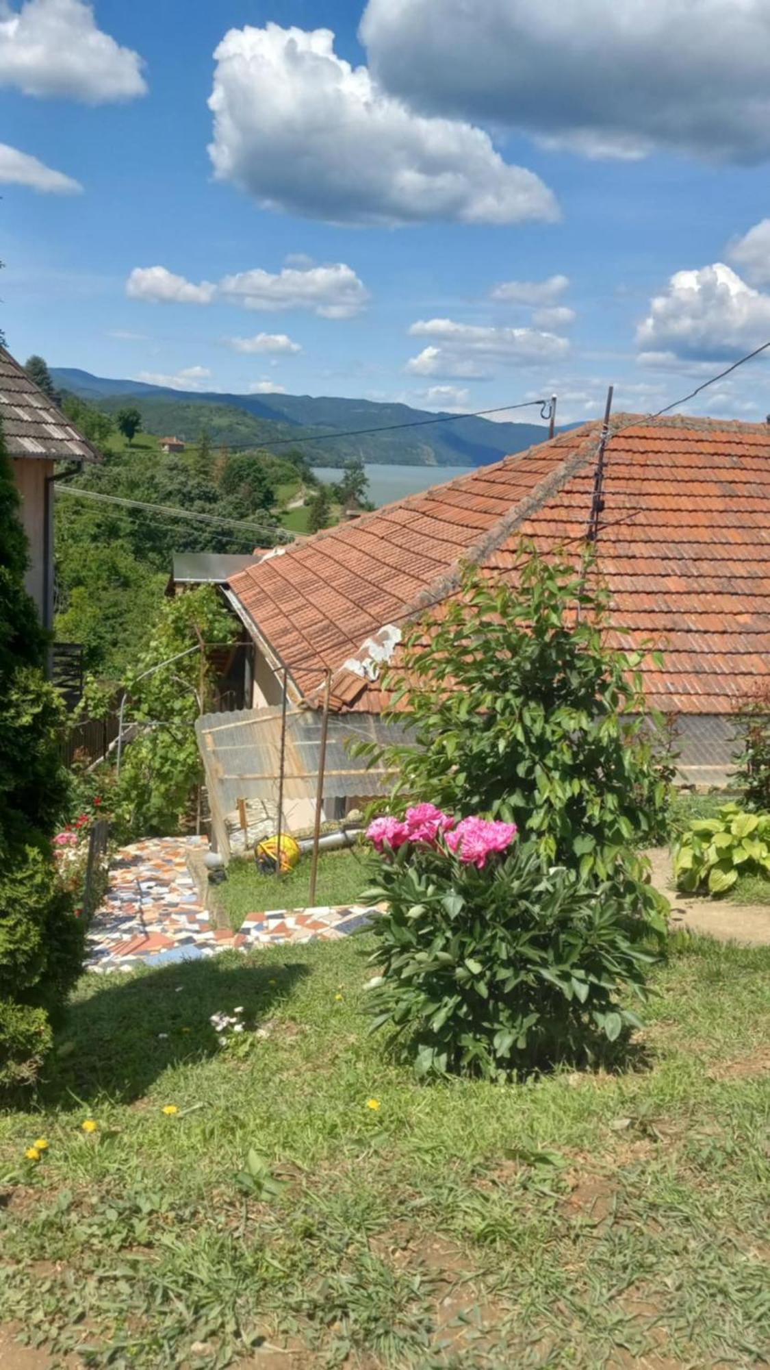 Apartman Sani Доні-Мілановац Екстер'єр фото